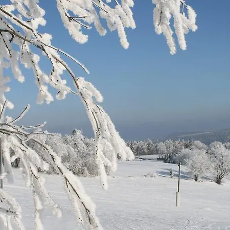 펜션 Am Skihang Altenberg